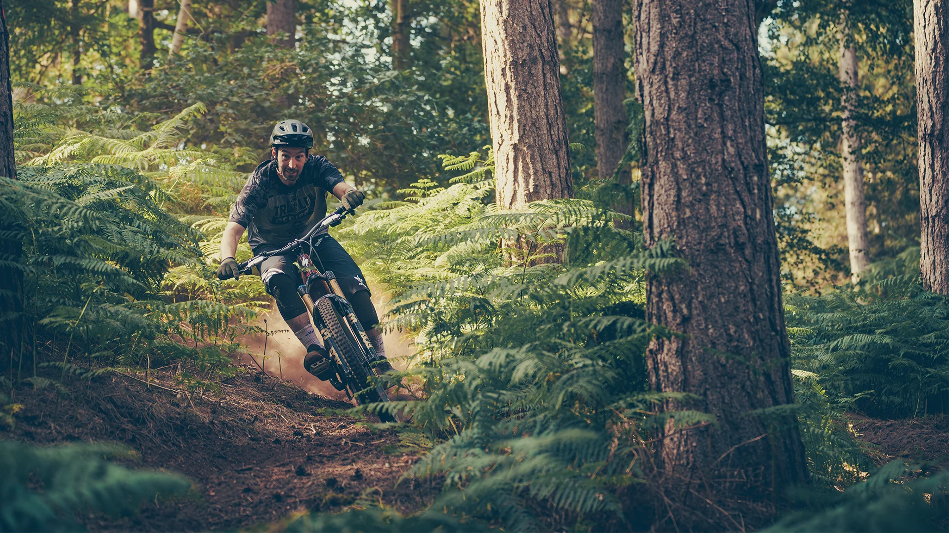 Ride Without Limits